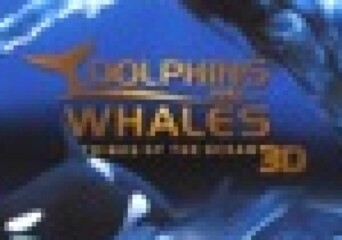 Ścieżka z dokumentu IMAXa do posłuchania on-line - okładka