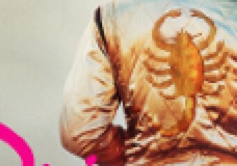 Wygraj ścieżke dźwiękową do filmu ”Drive” - okładka