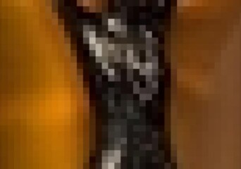 Nominacje do The Golden Satellite Awards - okładka