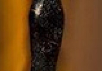 Sezon plebiscytów rozpoczęty na dobre - okładka