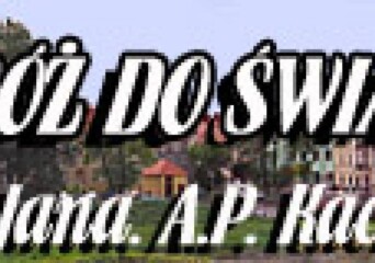 Relacja z koncertu Jana A.P. Kaczmarka w Koninie - okładka