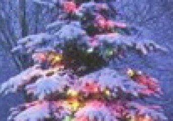 Wesołych Świąt Bożego Narodzenia i Szczęśliwego Nowego Roku! - okładka