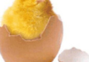 Wielkanocne życzenia + niespodzianka! - okładka