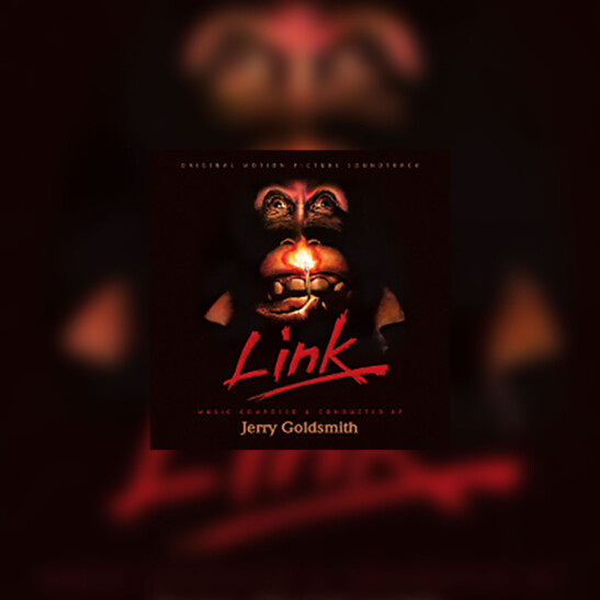 Link - okładka