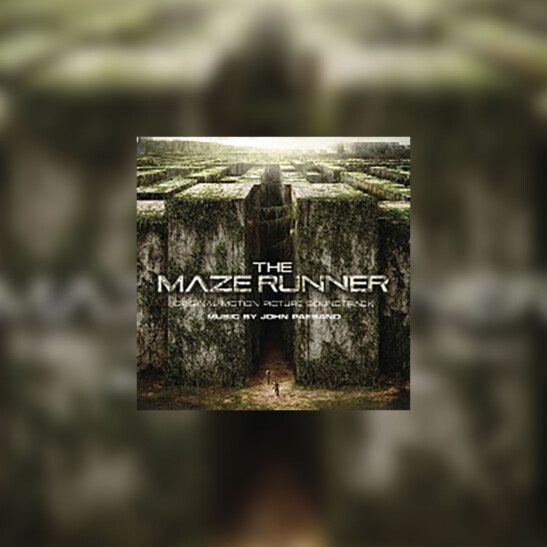 Maze Runner, the (Więzień labiryntu) - okładka