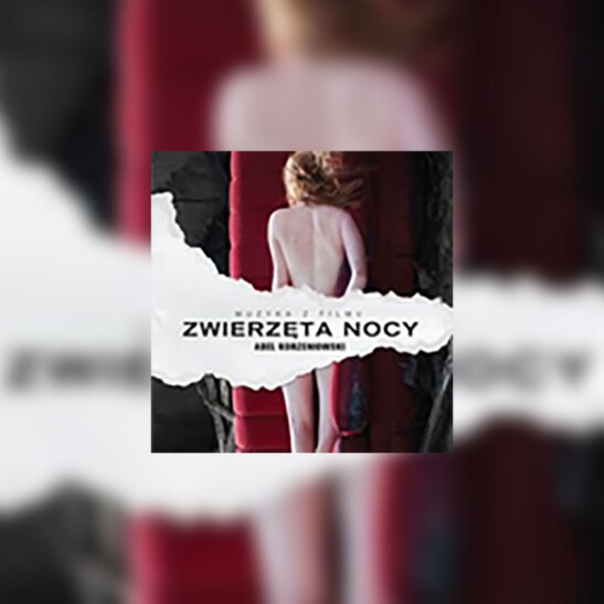 Nocturnal Animals (Zwierzęta nocy) - okładka