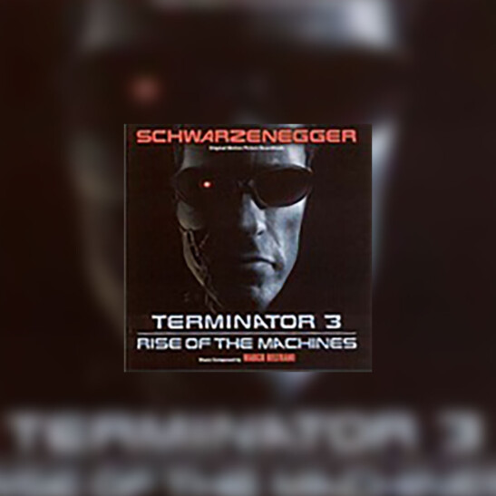 Terminator 3: Rise of the Machines (Terminator 3: Bunt Maszyn) - okładka